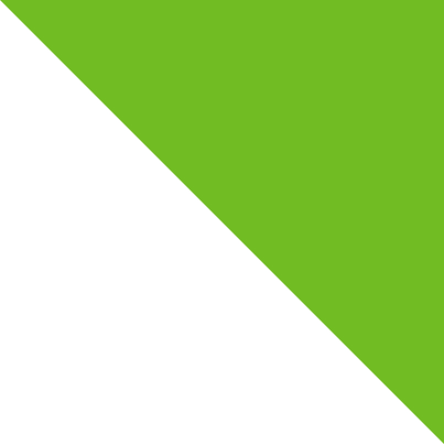 Banner Green Triangle