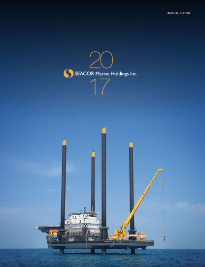 2017 Annual Report cover image
